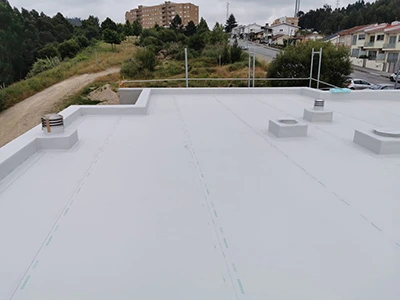 Flat roof coating